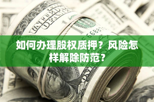 武汉如何办理股权质押？风险怎样解除防范？